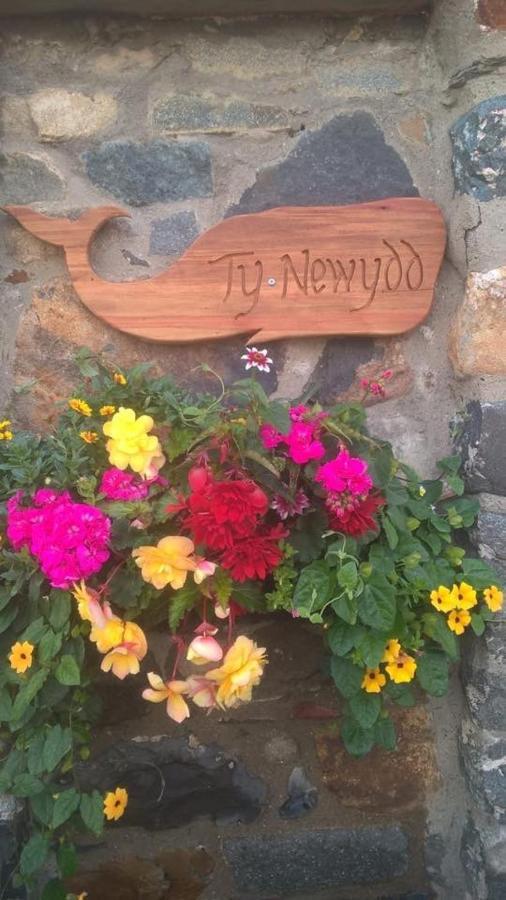Ty Newydd North Wales Escape Holiday home *