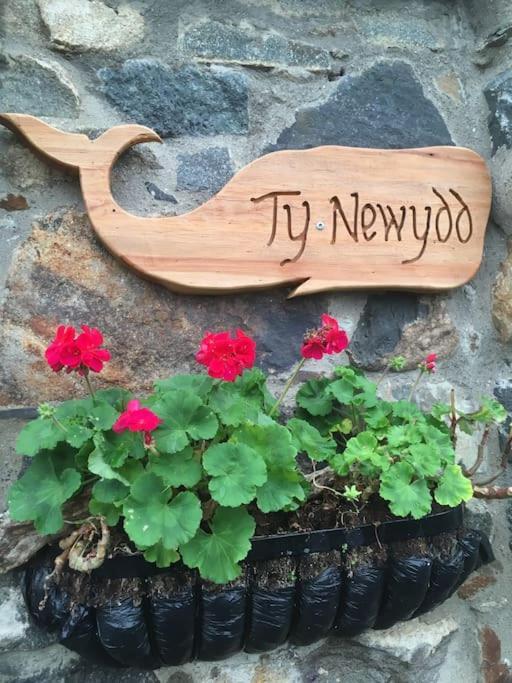 Ty Newydd North Wales Escape Holiday home